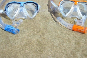 Sansibar: Schnorcheln auf Mnemba Island & Schwimmen mit Delfinen + Mittagessen