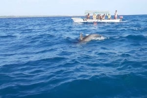 Sansibar: Schnorcheln auf Mnemba Island & Schwimmen mit Delfinen + Mittagessen