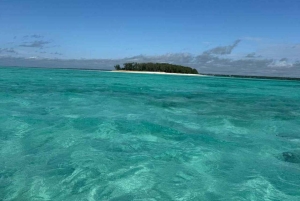 Zanzibar: Mnemba Island Snorkeling & Dolphin swmming + lunch