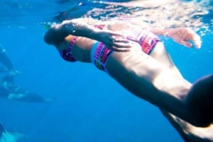 Zanzibar: Mnemba Island Snorkeling & Dolphin swmming + lunch