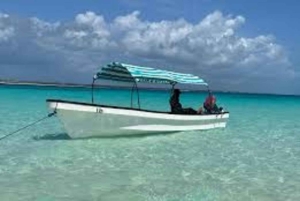 Zanzibar: Mnemba Island Snorkeling & Dolphin swmming + lunch