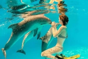 Mnemba Island: pikaveneellä delfiinien katselu ja snorklaus