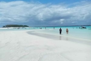 Mnemba Island: pikaveneellä delfiinien katselu ja snorklaus