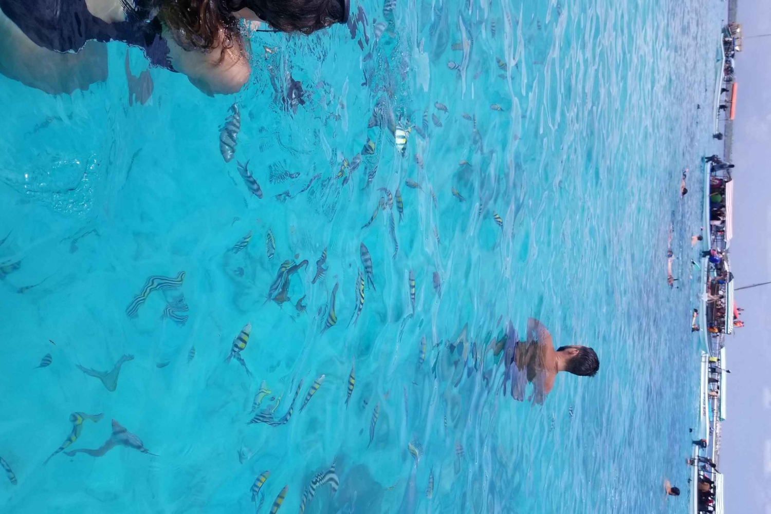 Zanzibar: Snorkeling e golfinhos na Ilha Mnemba