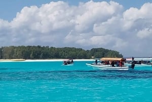 Zanzibar: Snorkeling e golfinhos na Ilha Mnemba