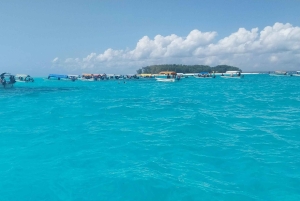 Zanzibar: Snorkeling e golfinhos na Ilha Mnemba