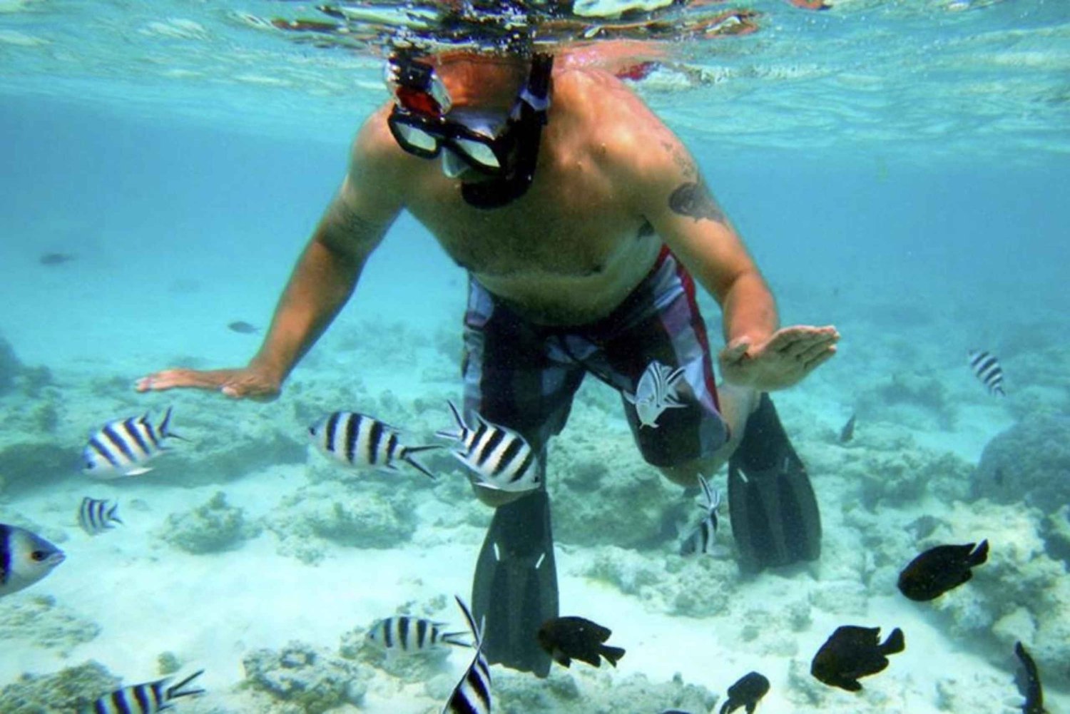 Zanzibar: Mergulho com snorkel na Ilha Mnemba, Tour das Especiarias e Stone Town