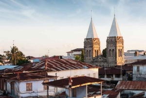 Zanzibar : plongée avec tuba sur l'île de Mnemba, visite des plantations d'épices et Stone Town