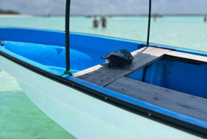 Zanzíbar: excursión de snorkel a la isla de Mnemba