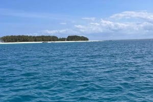 Zanzíbar: excursión de snorkel a la isla de Mnemba
