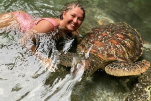 ZANZIBAR: Mnemban saaren snorklaus- ja kilpikonna-akvaariokierros