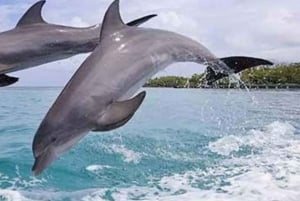 ZANZIBAR: Wycieczka na wyspę Mnemba z nurkowaniem i akwarium z żółwiami