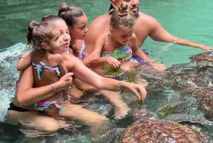 ZANZIBAR: Wycieczka na wyspę Mnemba z nurkowaniem i akwarium z żółwiami