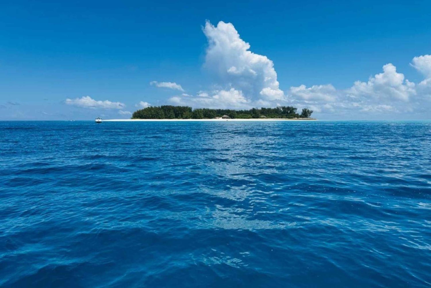 Zanzibar: Snorkling på Mnemba-øya med transport og lunsj