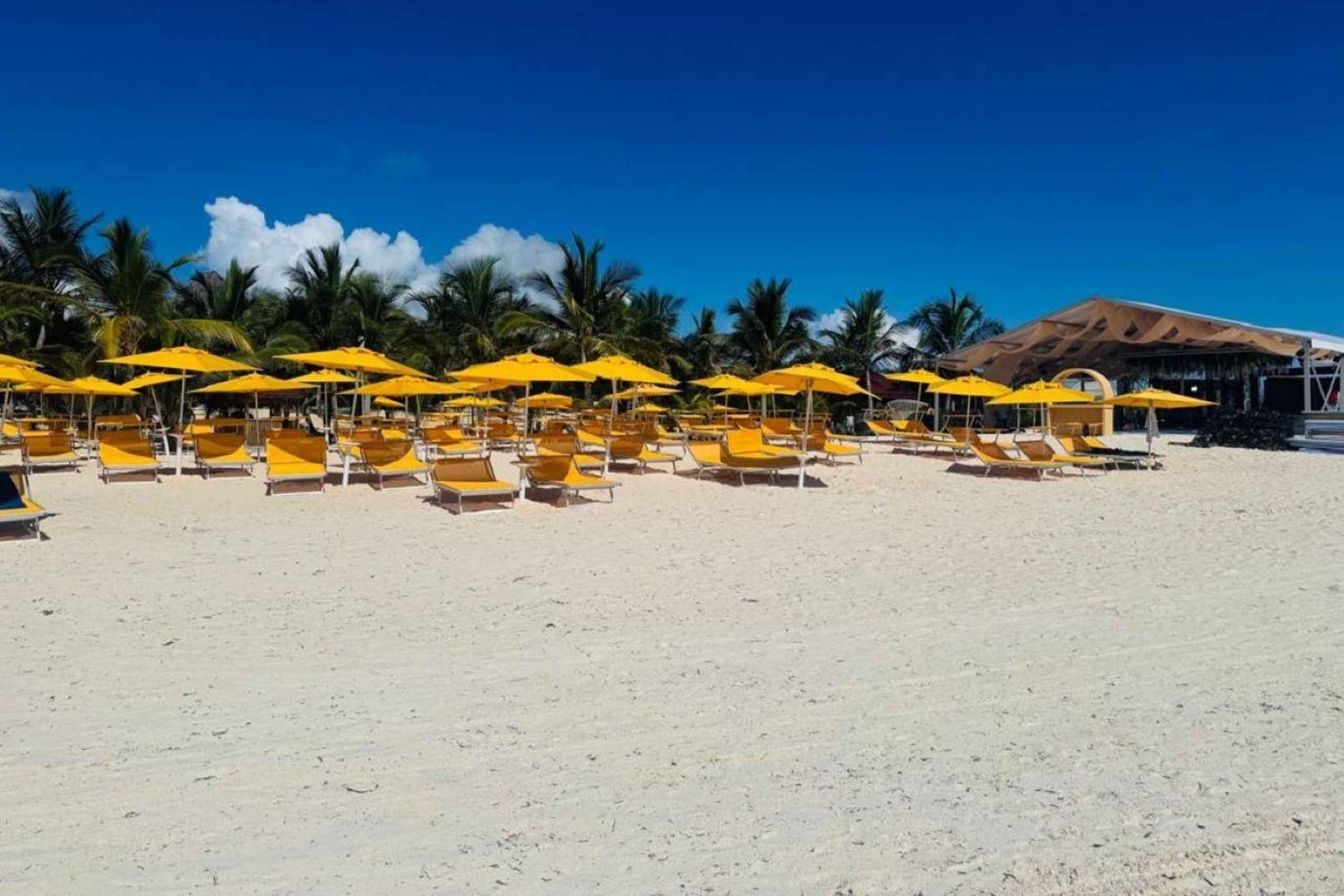 Zanzibar: Snorkling på Mnemba-øya med transport og lunsj