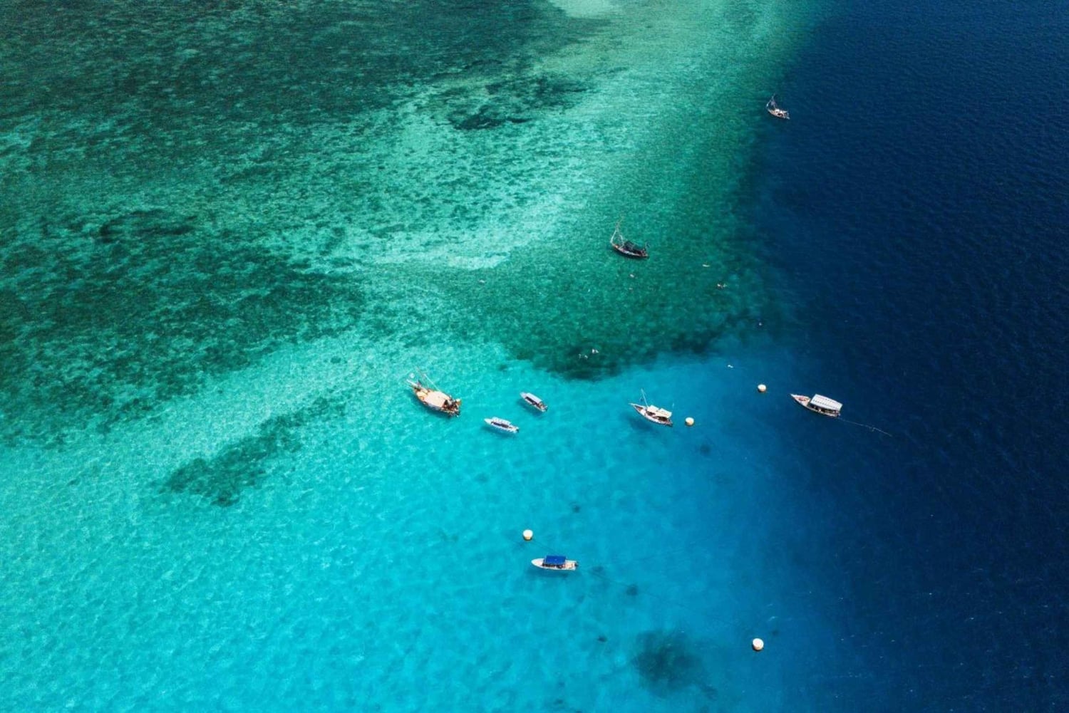 Zanzibar: Snorkling på Mnemba-øya med transport og lunsj