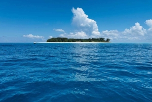 Zanzibar: Snorkling på Mnemba-øya med transport og lunsj