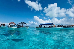 Zanzibar: Snorkling på Mnemba-øya med transport og lunsj
