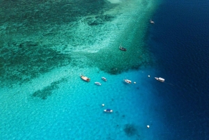 Zanzibar: Snorkling på Mnemba-øya med transport og lunsj