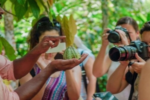 Zanzibar: Mnemba Island, krydderifarm og Stone Town med frokost