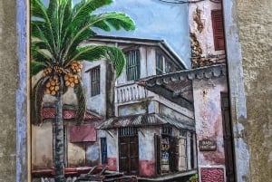 Zanzibar: Mnemba Island, Spice farm og Stone Town med lunsj