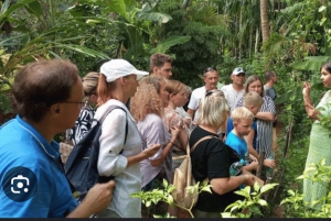 Zanzibar: Mnemba Island, Spice farm og Stone Town med lunsj