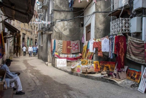 ZANZIBAR: Tour dell'Isola di Mnemba, Stone Town e Prison Island