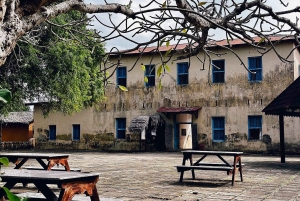 ZANZIBAR: Mnemba Island, Stone Town og Prison Island-tur