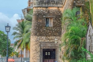 ZANZIBAR: Mnemba Island, Stone Town og Prison Island-tur