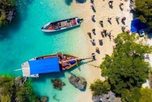 イルカとシュノーケリング ザンジバル：ムンバ島ツアー