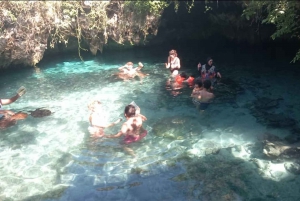 イルカとシュノーケリング ザンジバル：ムンバ島ツアー