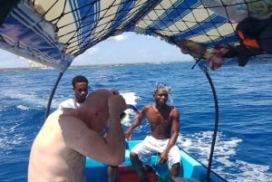 イルカとシュノーケリング ザンジバル：ムンバ島ツアー