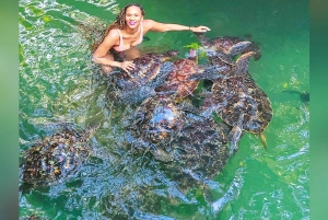 Zanzibar : île de Mnemba, baignade des tortues à la plage de Kendwa