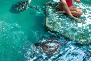 Zanzibar : île de Mnemba, baignade des tortues à la plage de Kendwa