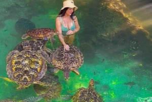 Zanzibar : île de Mnemba, baignade des tortues à la plage de Kendwa