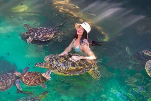 Zanzibar : île de Mnemba, baignade des tortues à la plage de Kendwa