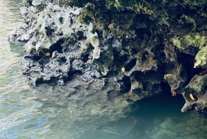 Zanzibar : île de Mnemba, baignade des tortues à la plage de Kendwa
