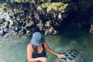 Zanzibar : île de Mnemba, baignade des tortues à la plage de Kendwa