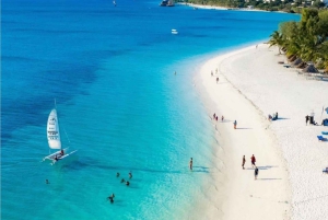 Zanzibar : île de Mnemba, baignade des tortues à la plage de Kendwa