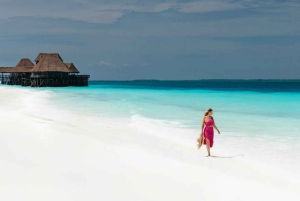 Zanzibar : île de Mnemba, baignade des tortues à la plage de Kendwa