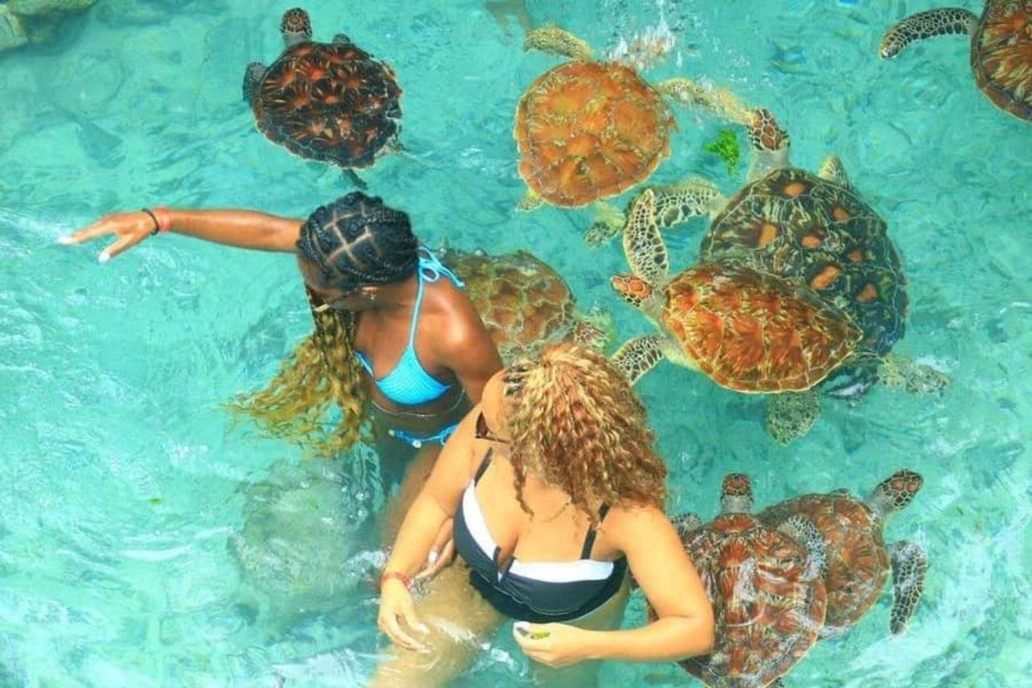 Zanzibar: Mnemba Island, Turtle Aquarium & Kendwa Beach