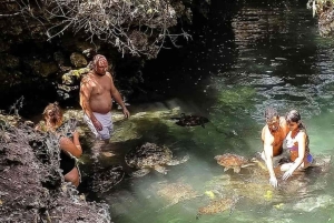 Zanzibar: Mnemba Island, Turtle Aquarium & Kendwa Beach