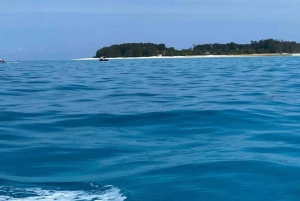 Zanzibar: Mnemba Island, Turtle Aquarium & Kendwa Beach