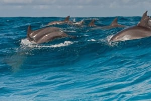 Занзибар: остров Мнемба и заповедник морских черепах