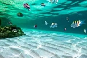 Занзибар: остров Мнемба и заповедник морских черепах