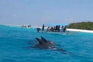 Занзибар: остров Мнемба и заповедник морских черепах