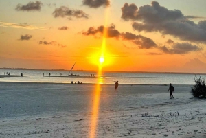 Занзибар: остров Мнемба и заповедник морских черепах