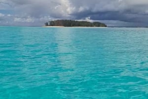 Занзибар: остров Мнемба и заповедник морских черепах