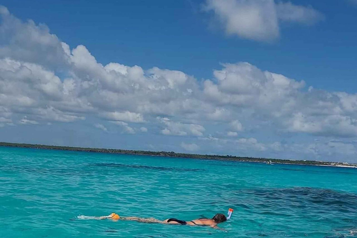 FROM NUNGWI: Mnemba snorkelling and Dolphin tour