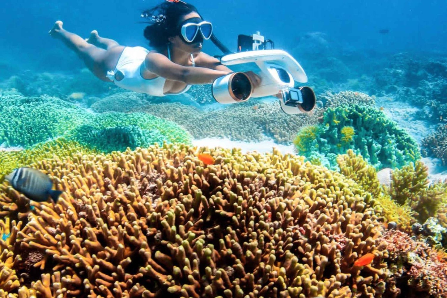 Zanzibar: tour in scooter marino all'isola di Mnemba o Pungume